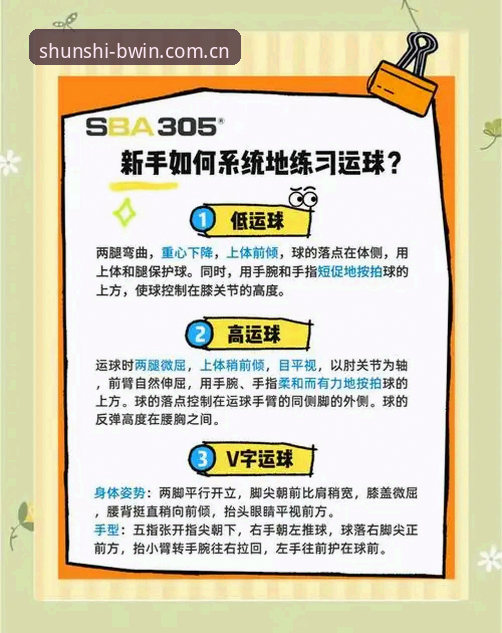 顺势者赢拼音sport login新手操作指南：从登录到篮球数据查询一步到位